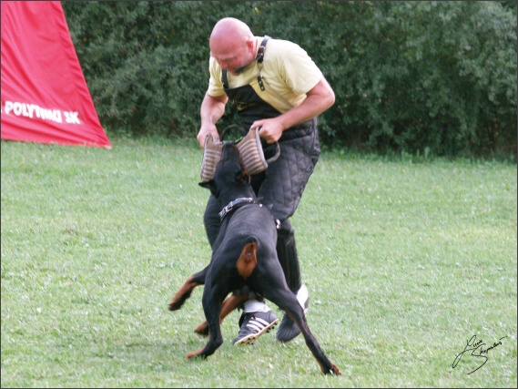 Summer training camp - Jelenec - 2007